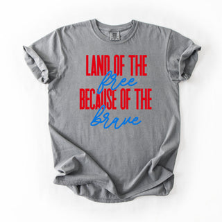 Land Of The Free Red And Blue