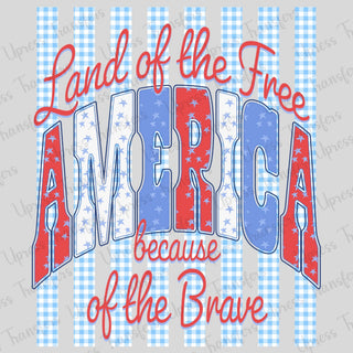 Land Of The Free Stripes