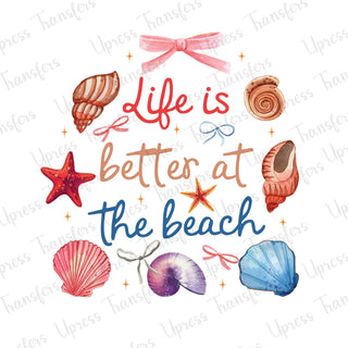 Life Is Better At The Beach Shells