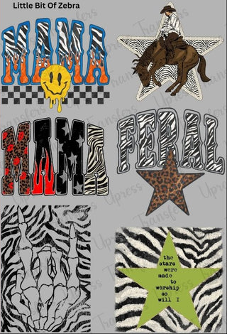 Little Bit Of Zebra