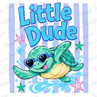 Little Dude Turtle