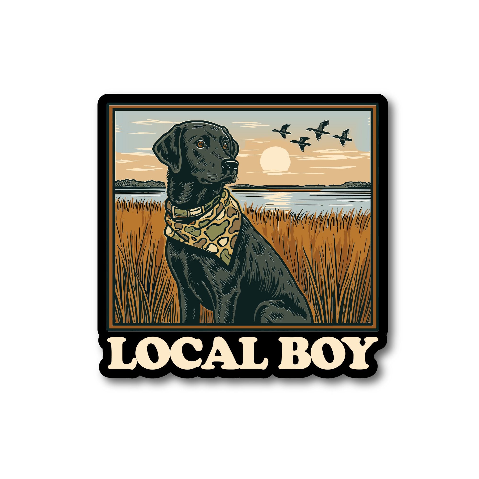 Local Boy Lab