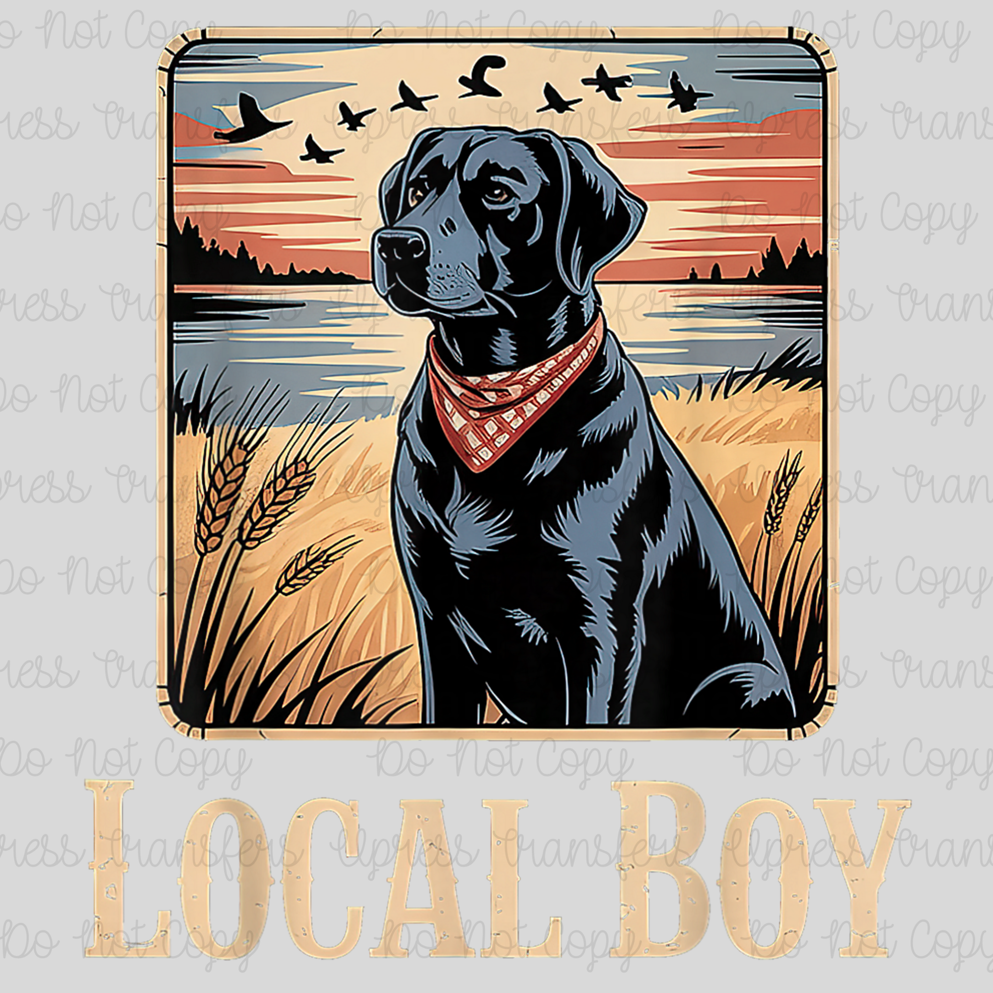 Local Boy Lab