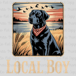 Local Boy Lab