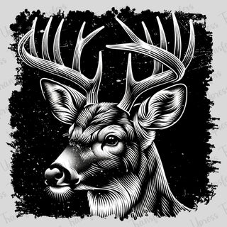 Looking Buck
