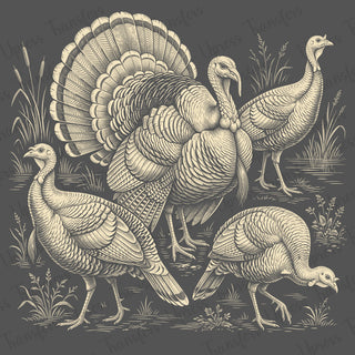Looking Turkey