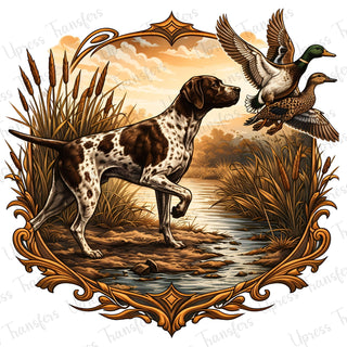 Lovely Pointer Picture
