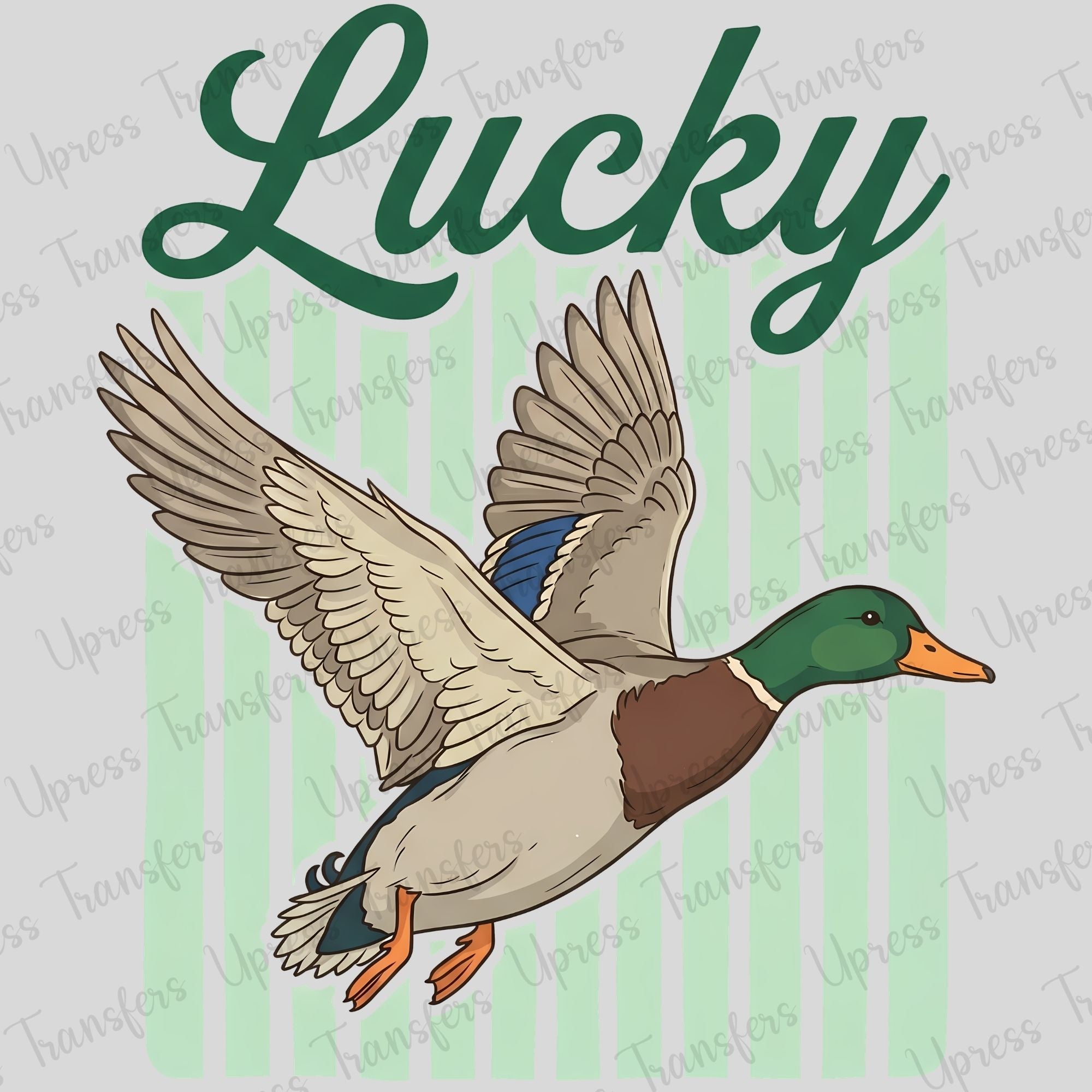 Lucky Duck