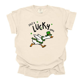 Lucky Goose Running