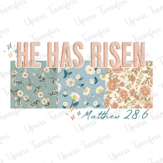 Matthew 28 6
