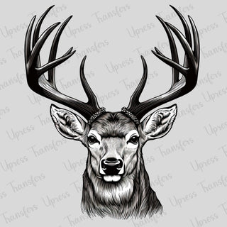 Medium Rack