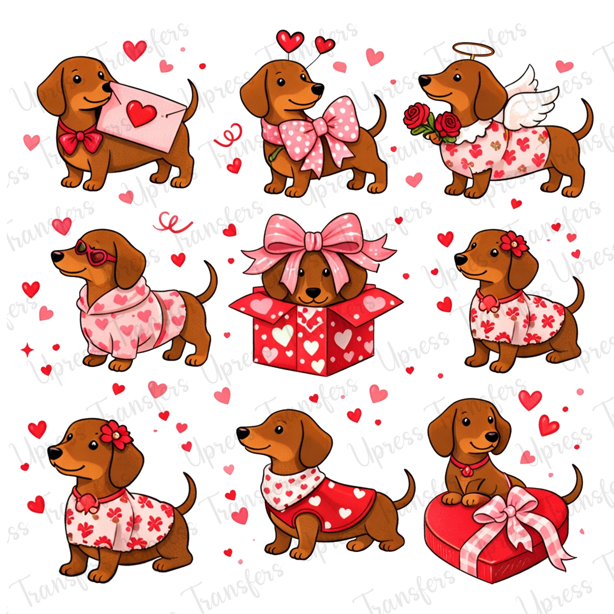 Miniature puppies