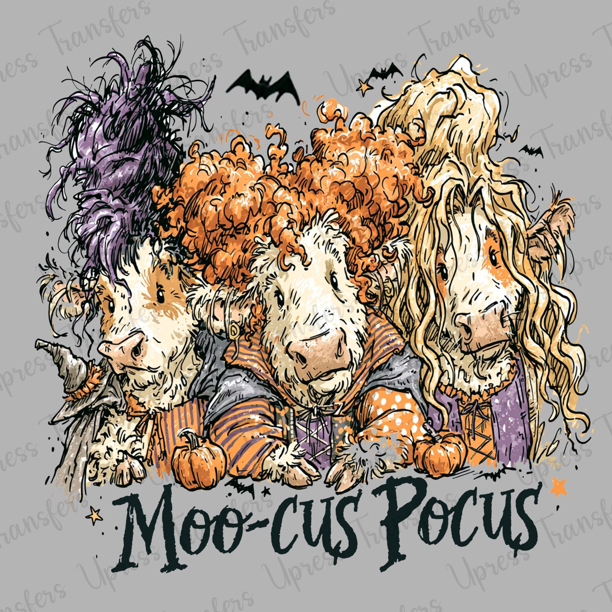 Moocus Pocus