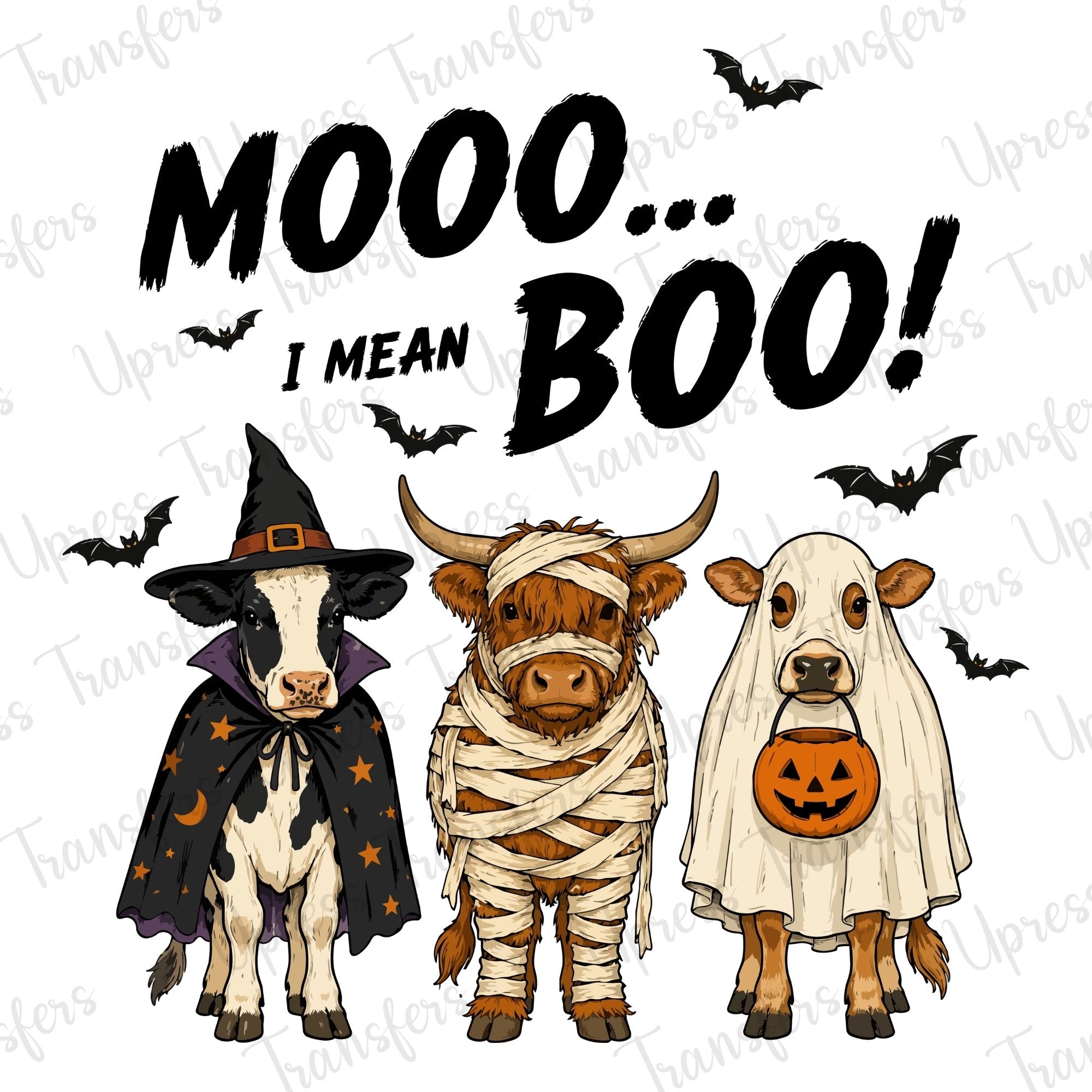 Mooo Boo Cows