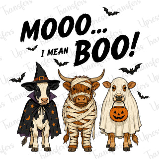 Mooo Boo Cows
