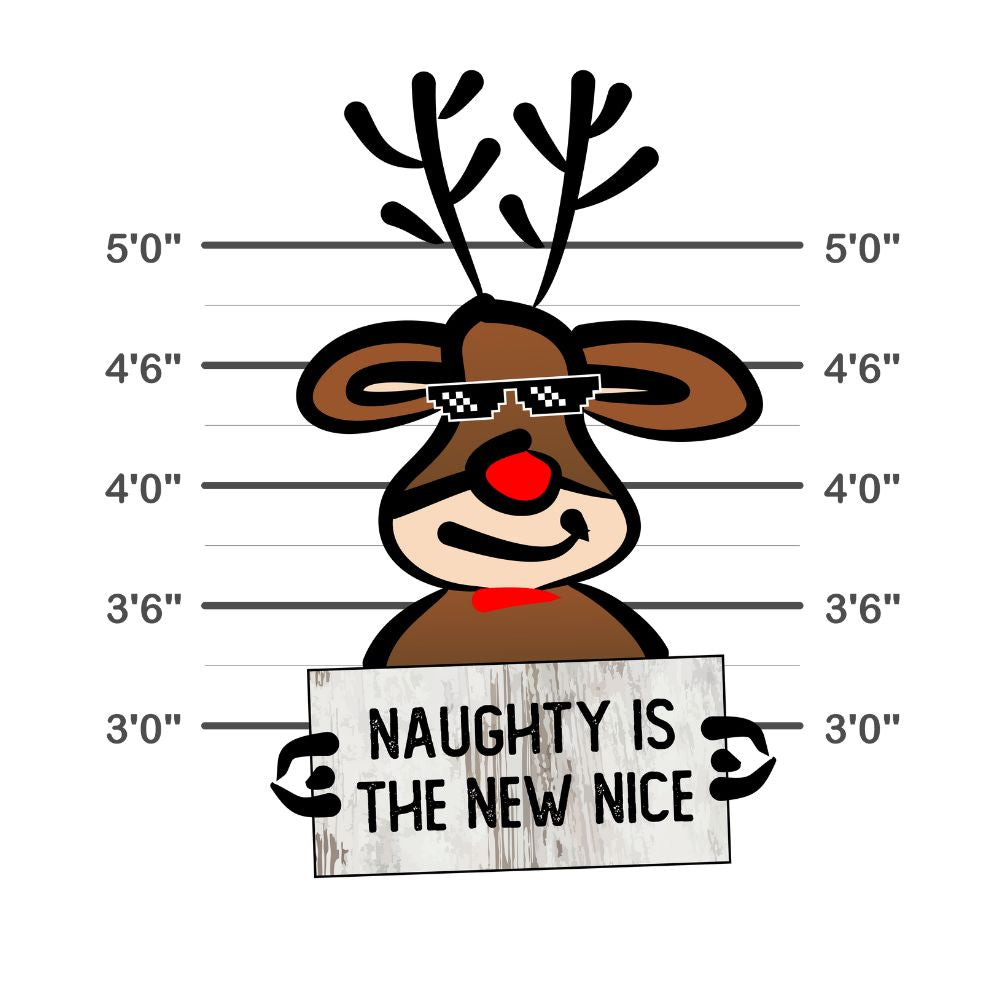 Naughty Is The New Nice