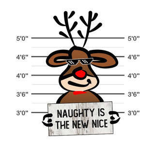 Naughty Is The New Nice