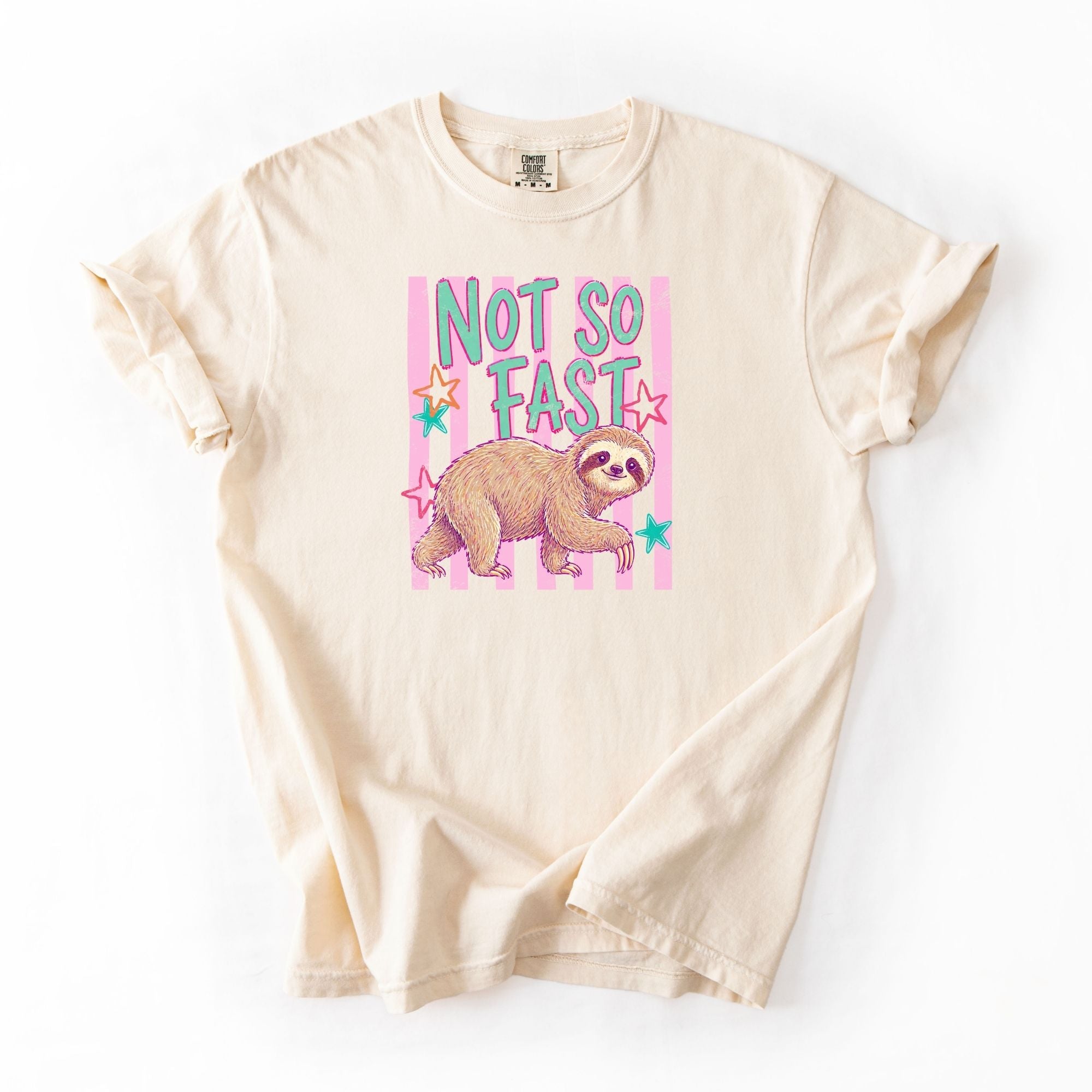 Not So Fast Sloth