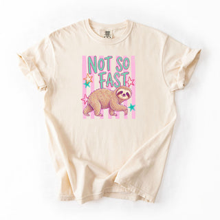 Not So Fast Sloth