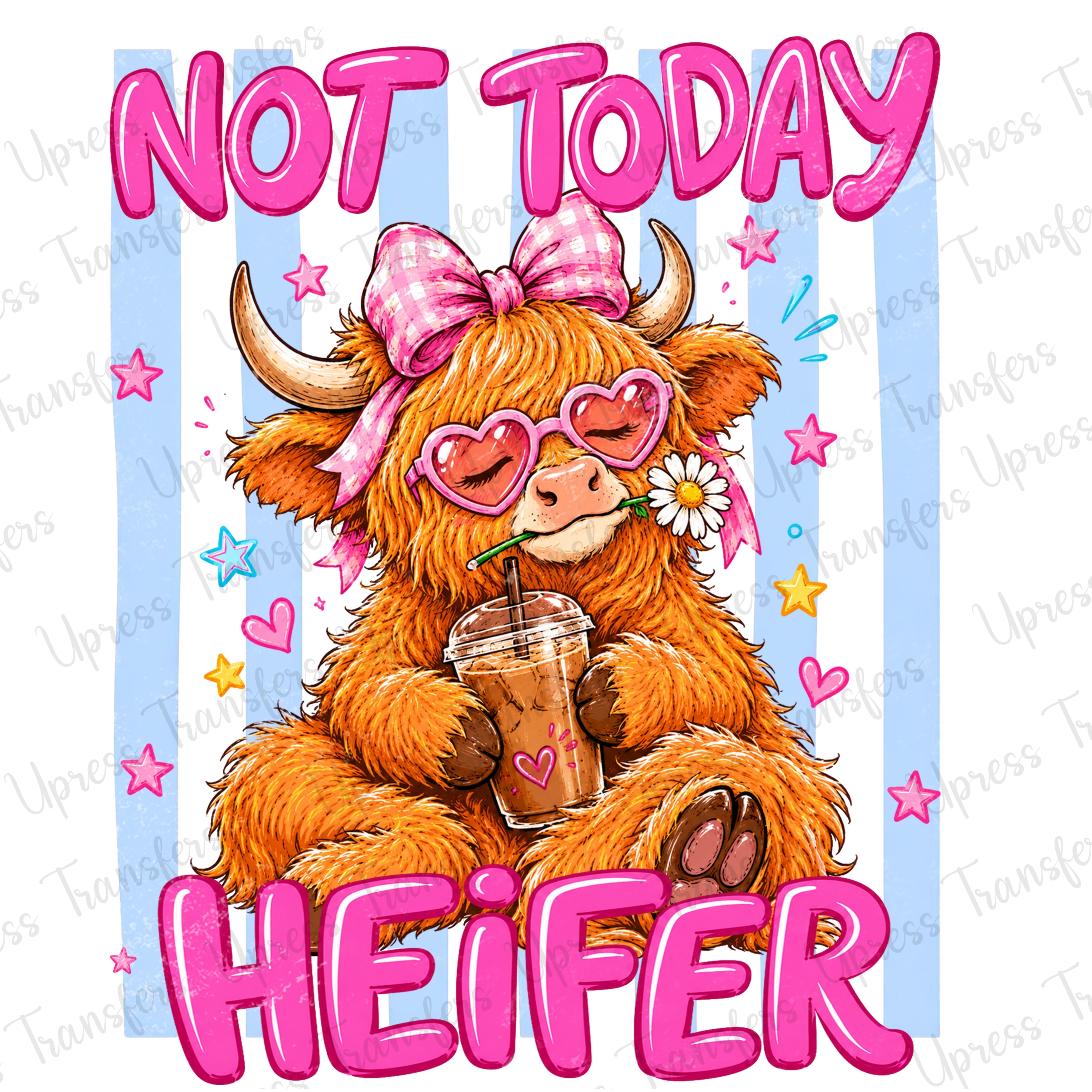 Not Today Heifer