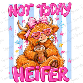 Not Today Heifer