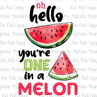Oh Hello Melon