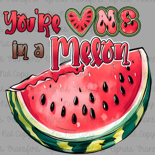 One In A Melon Slice