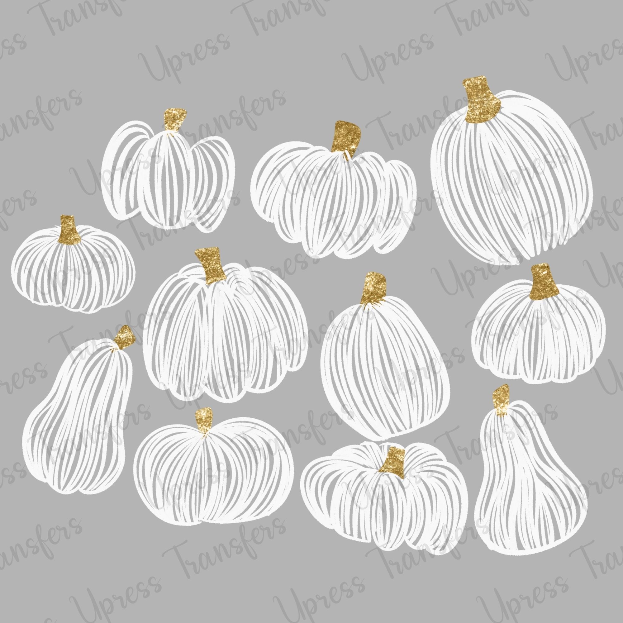 Pen Drawn Pumpkin Patch