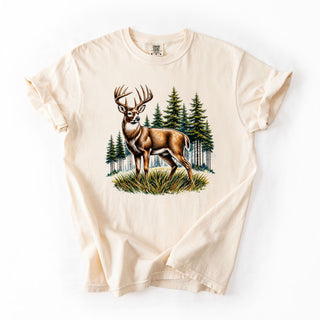 Pines Buck