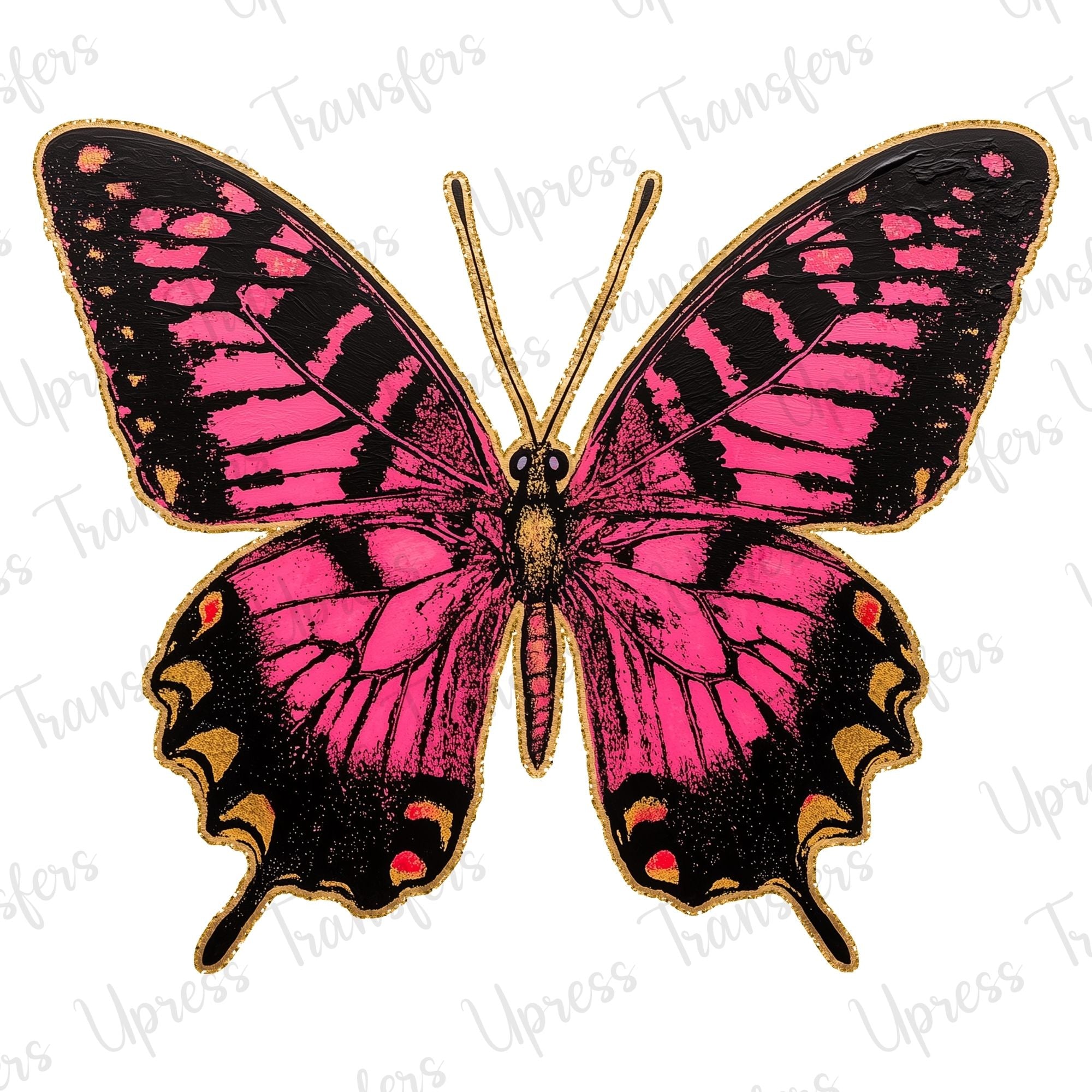 Pink and Golden Butterfly