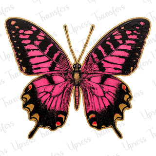 Pink and Golden Butterfly