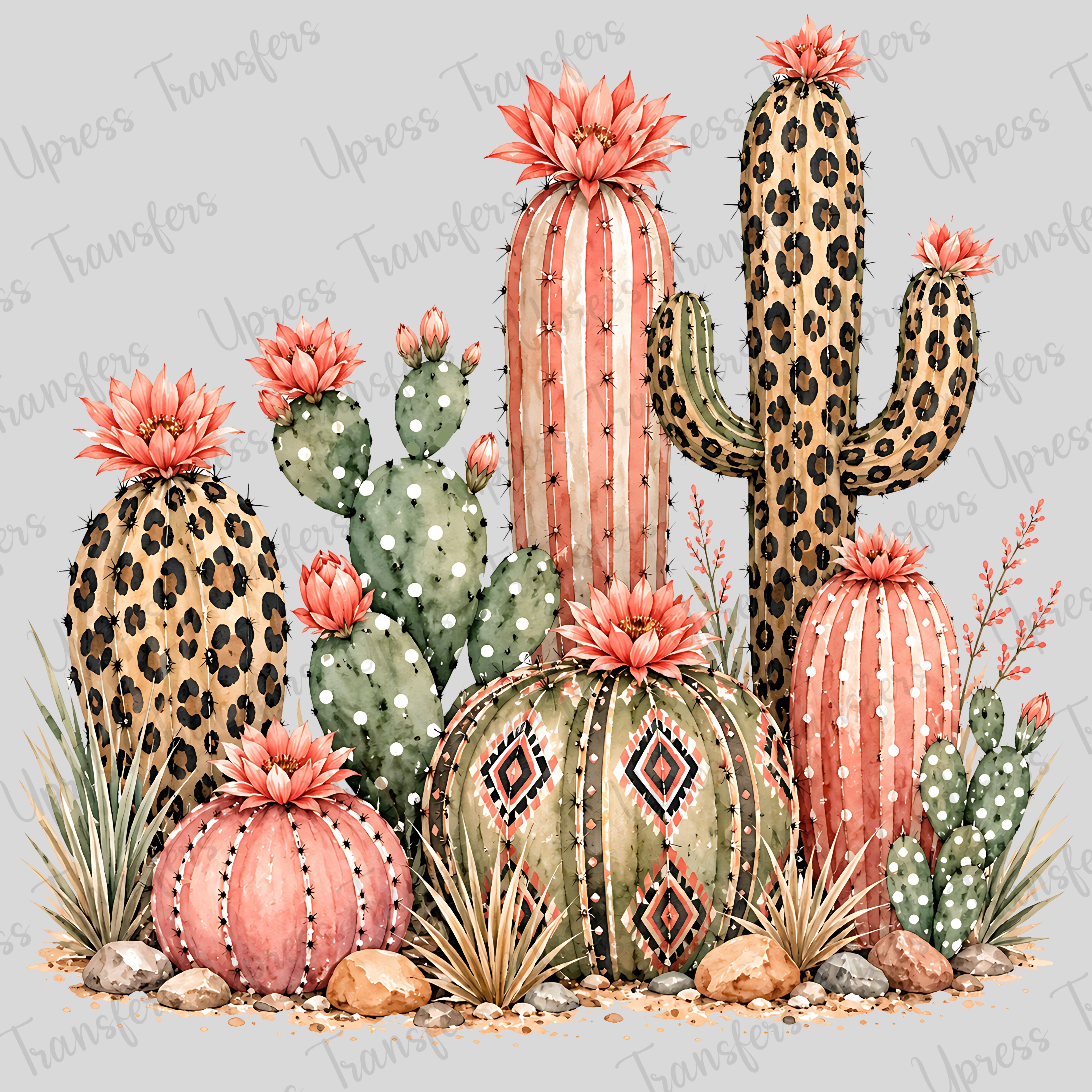 Pinky Cactus