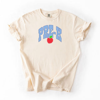 Pre-k Plaid Blue With Apple