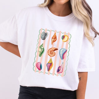 Preppy Shells