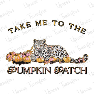 Pumpkin Patch Leopard