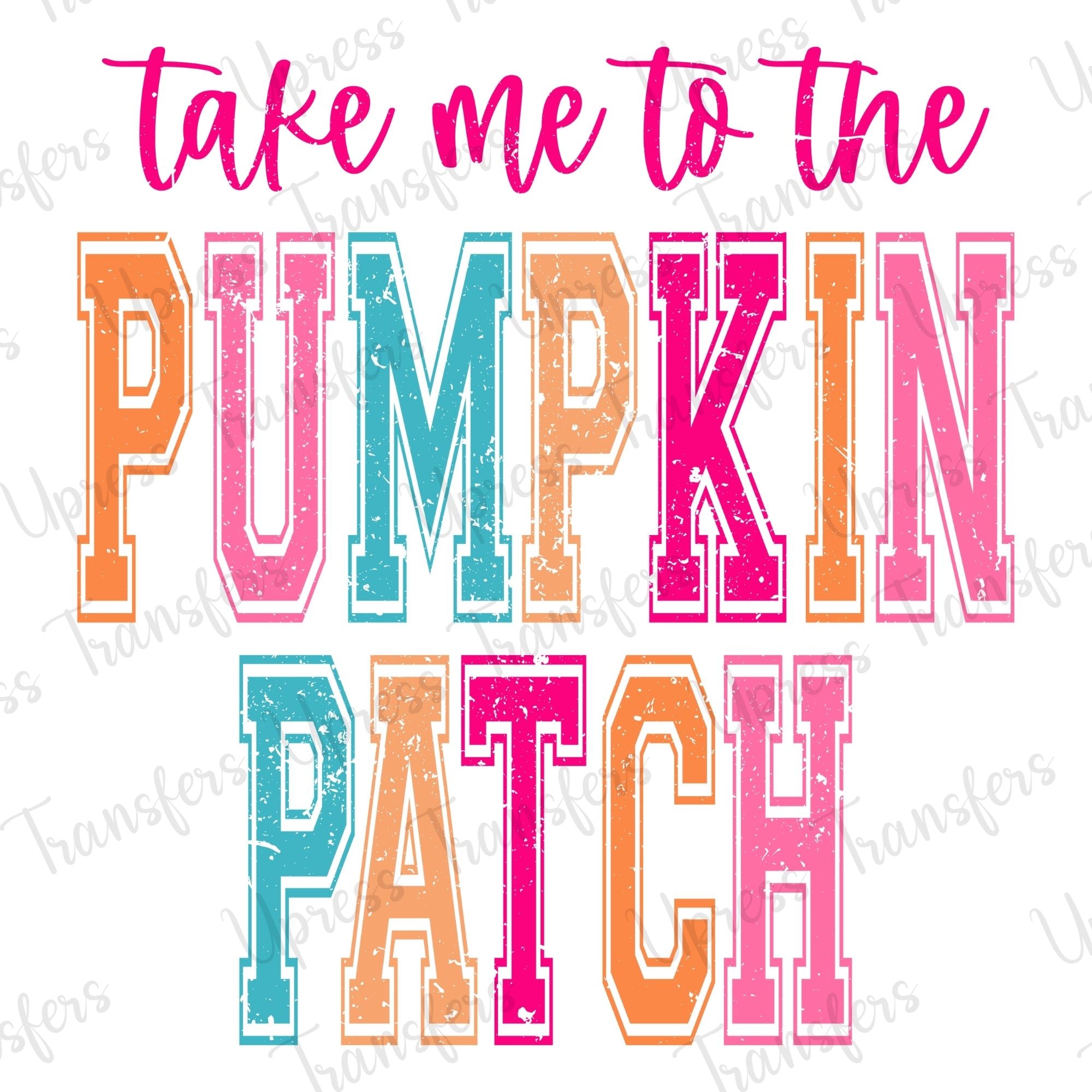 Pumpkin Patch Multicolored Distressed