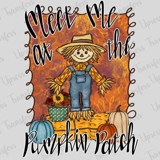 Pumpkin Patch Scare Crow