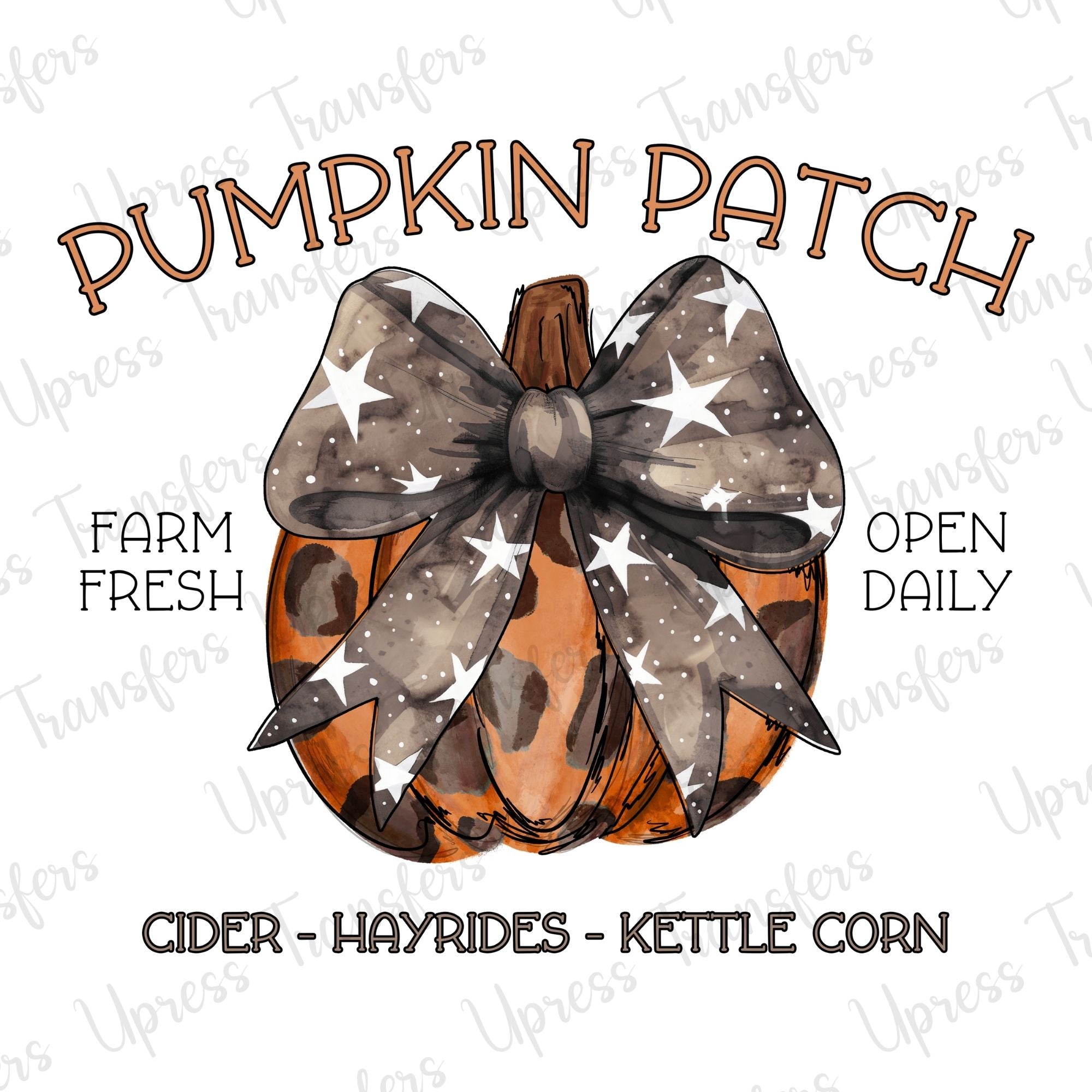 Pumpkin Patch Star Bow Pumpkin