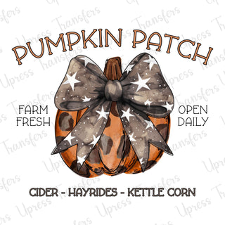 Pumpkin Patch Star Bow Pumpkin
