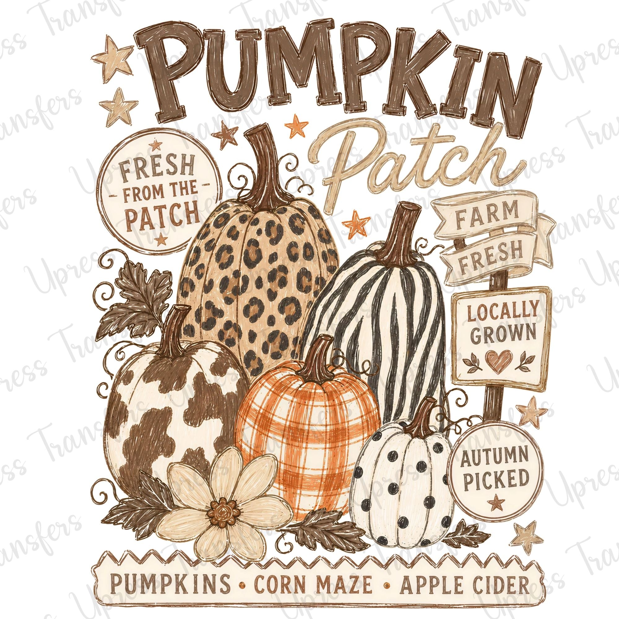 Pumpkin Patch Trendy Patterns