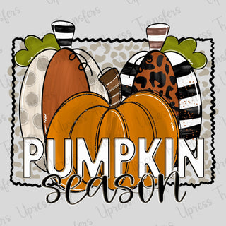Pumpkin Season Pumpkin Trio