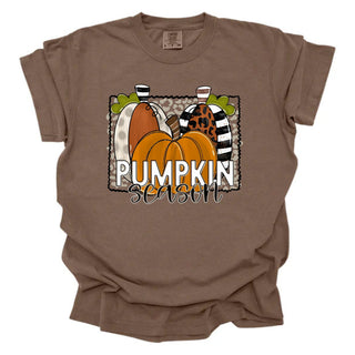 Pumpkin Season Pumpkin Trio