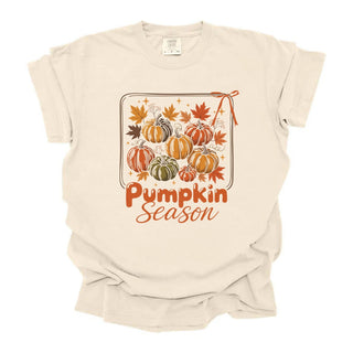 Pumpkin Season Pumpkins