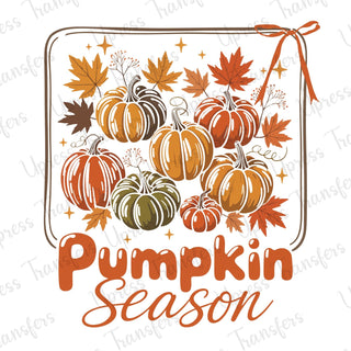 Pumpkin Season Pumpkins