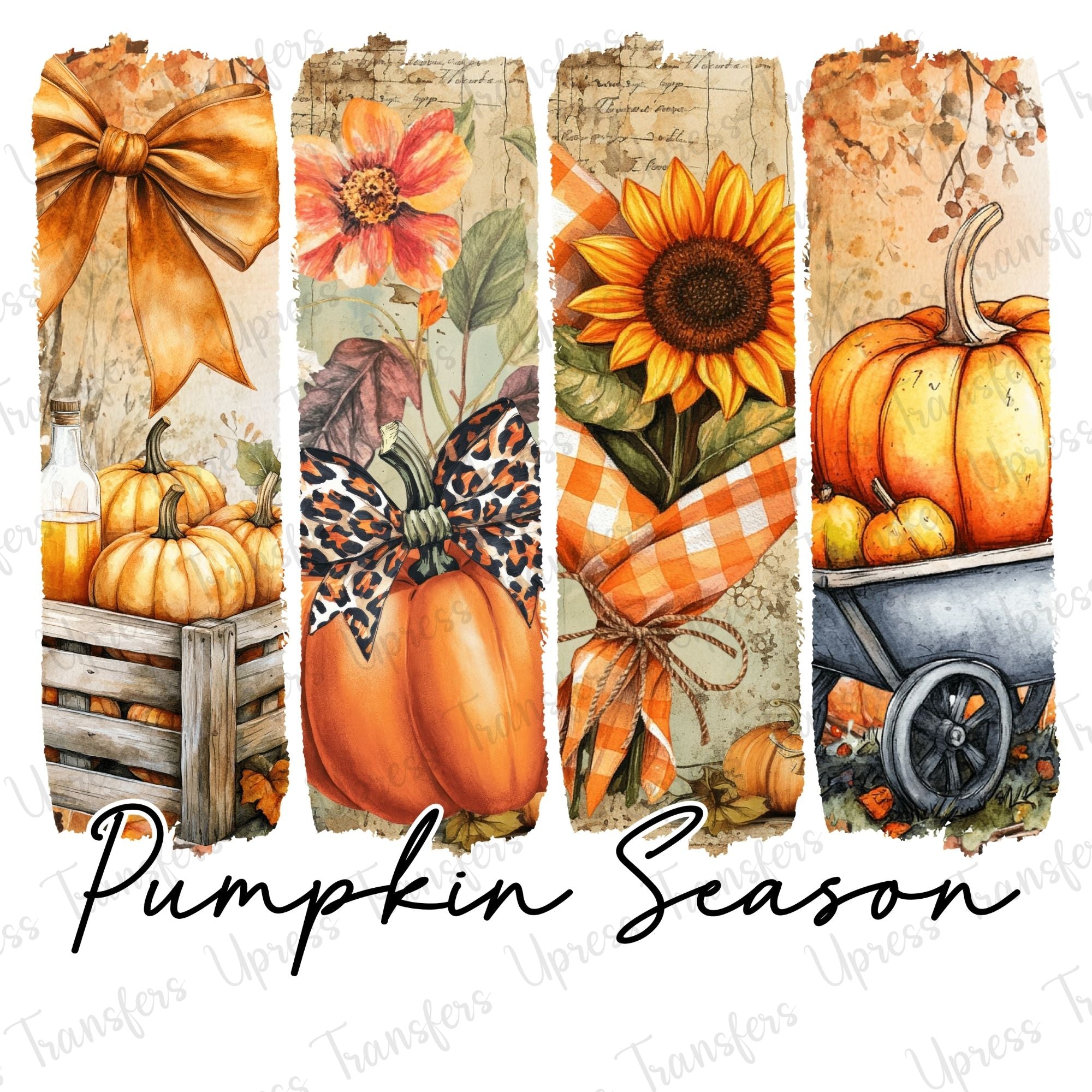 Pumpkin Season Yall