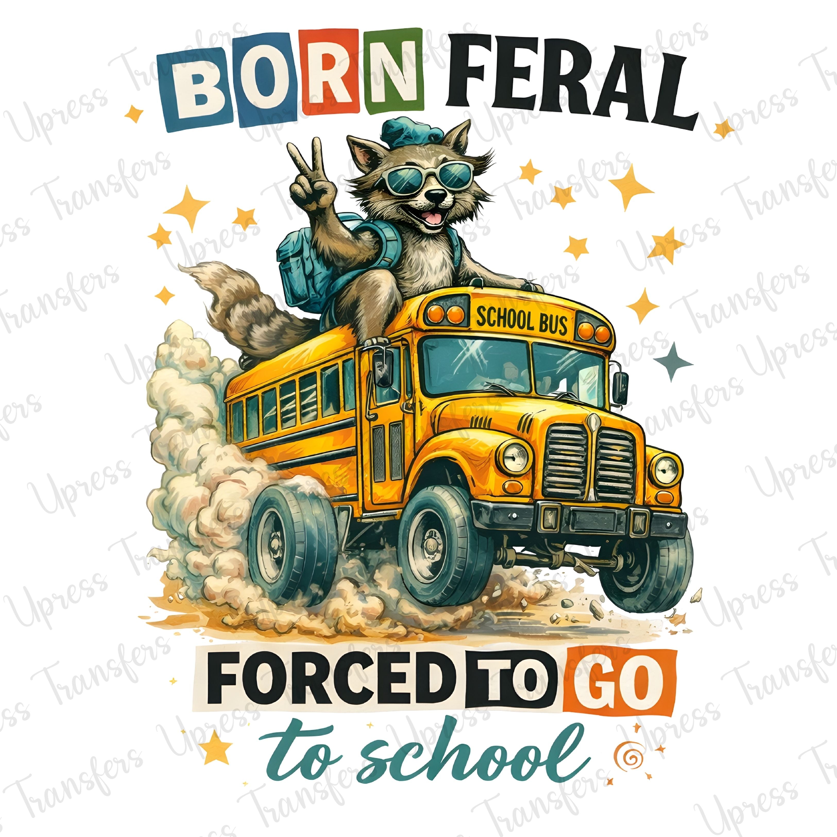 Racoon Bus Born Feral