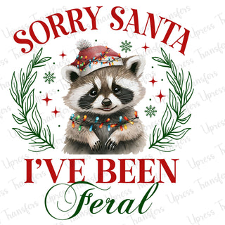 Racoon Sorry Santa