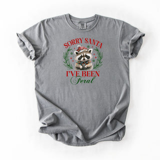 Racoon Sorry Santa