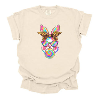 Rainbow Bunny