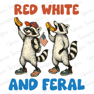 Red White And Feral Raccoons